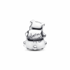 PNGTRPNT_793589C01_V2_RGB.png