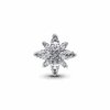 PNGTRPNT_793591C01_V2_RGB.png