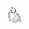 PNGTRPNT_797859CZ_V3_RGB.png