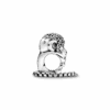 PNGTRPNT_798054CZ_V3_RGB.png