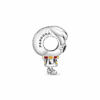 PNGTRPNT_798626C01_V3_RGB.png