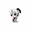 PNGTRPNT_798846C01_RGB.png