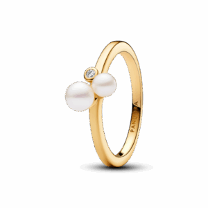 ציפוי זהב 14k