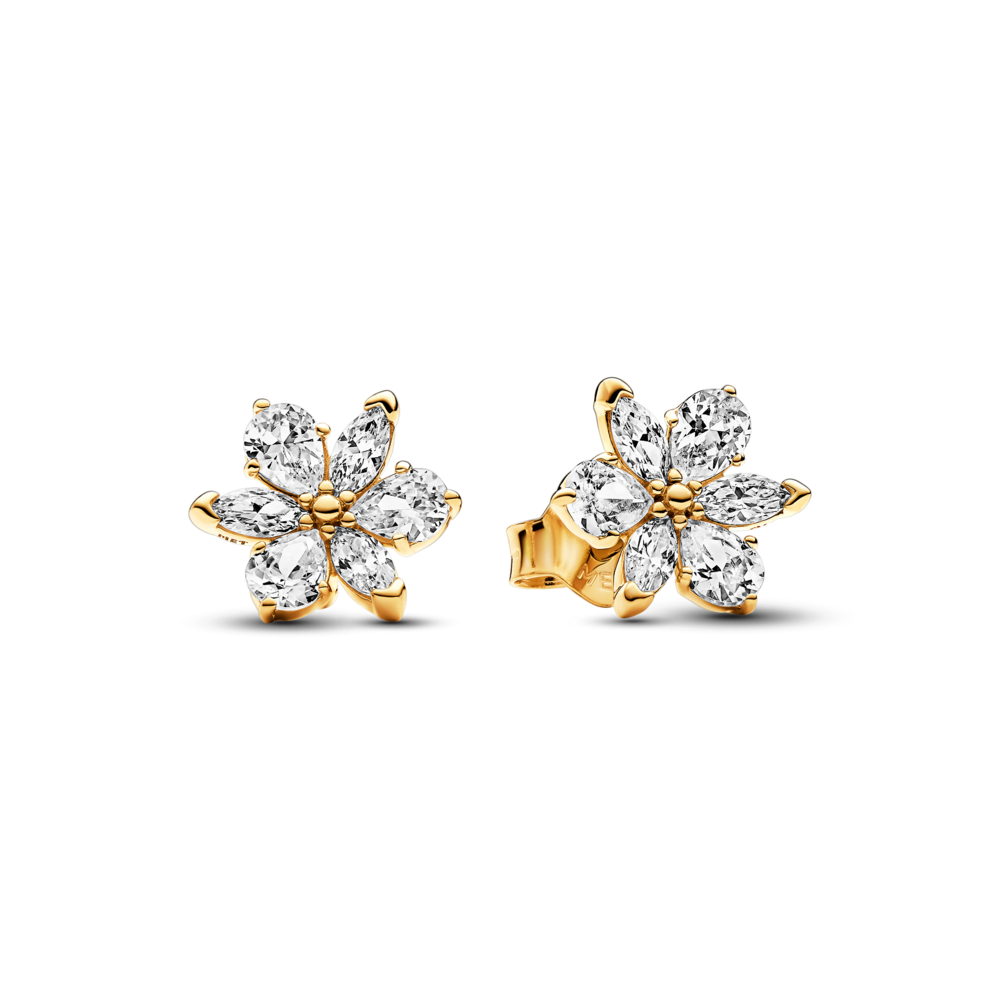 262633C01_1762247834549