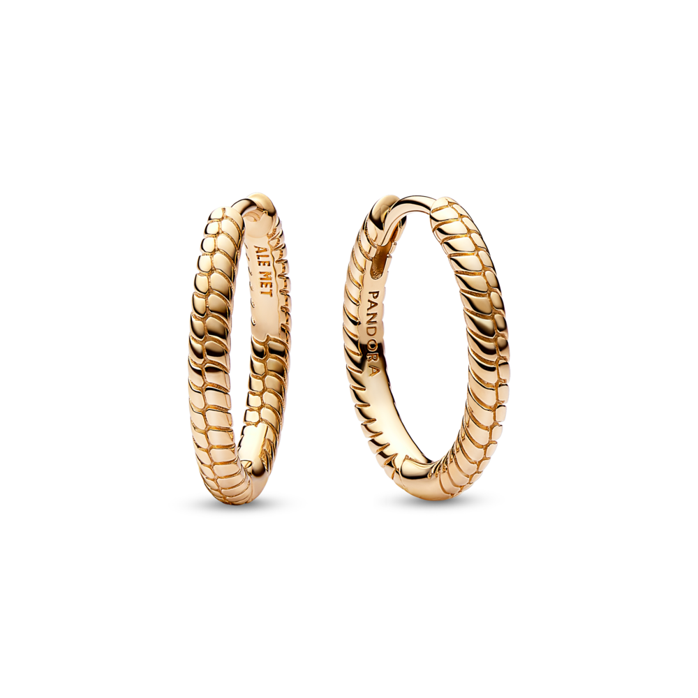 עגילי חישוק ציפוי זהב טייני מומנטס