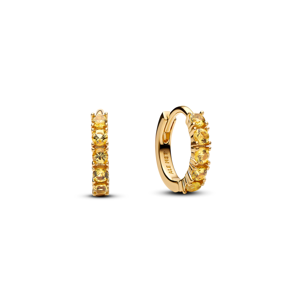 263849C01_1762247888151