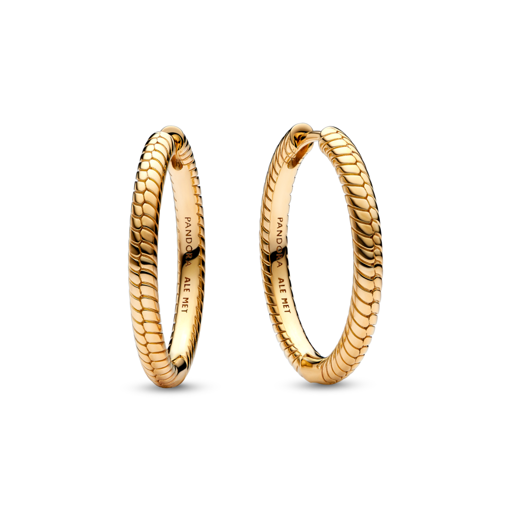 עגילי חישוק ציפוי זהב מומנטס