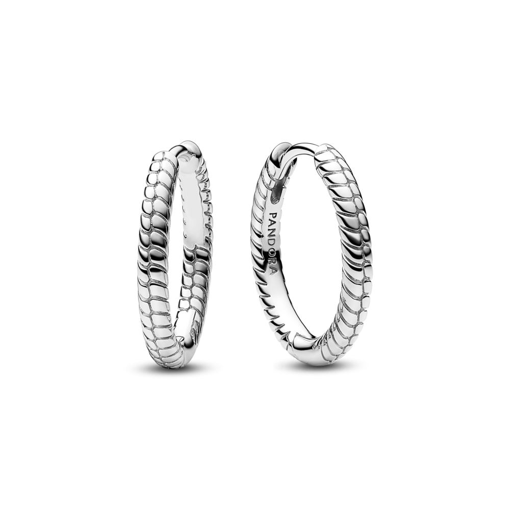 עגילי חישוק כסף טייני מומנטס