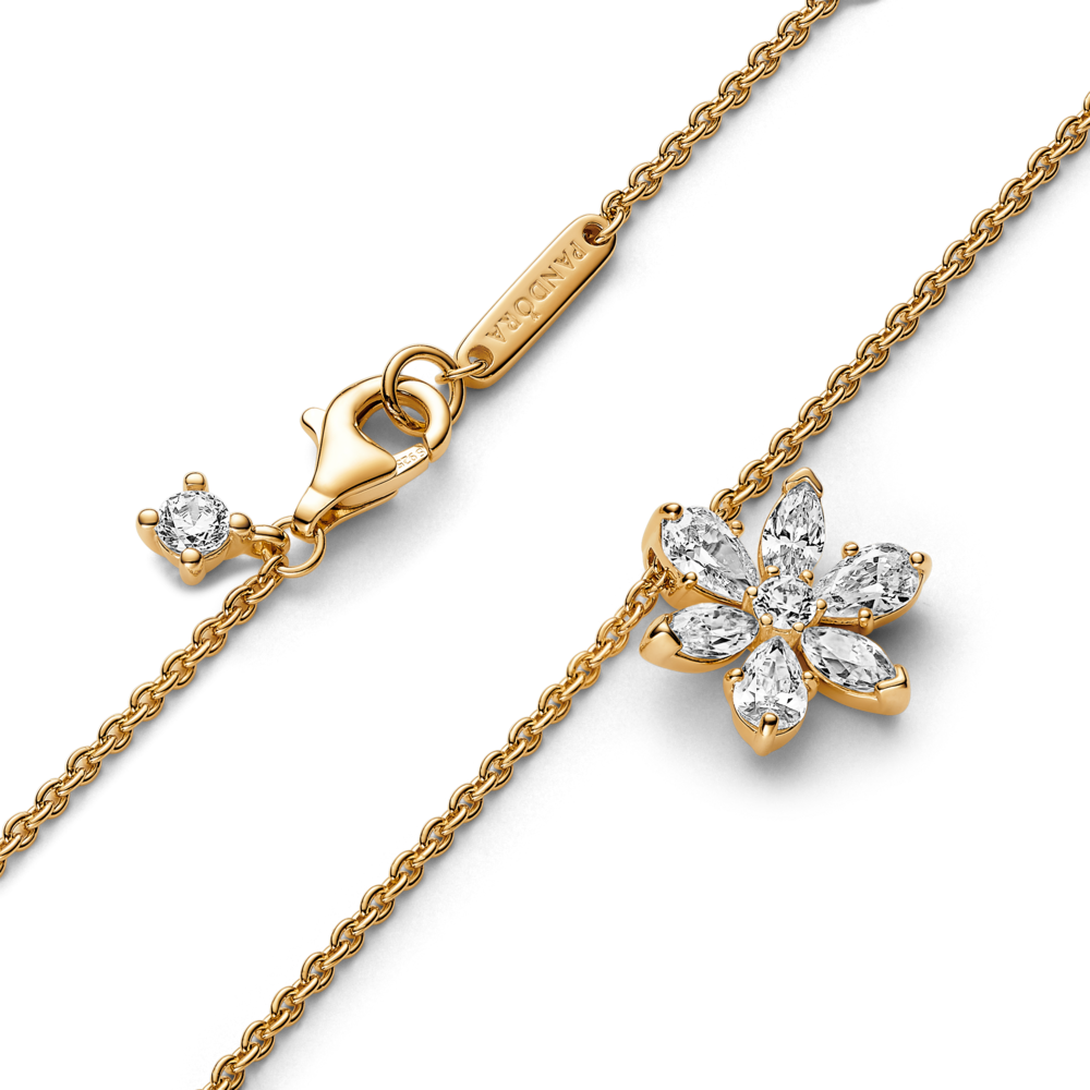 362387C01_V3_1762248060517