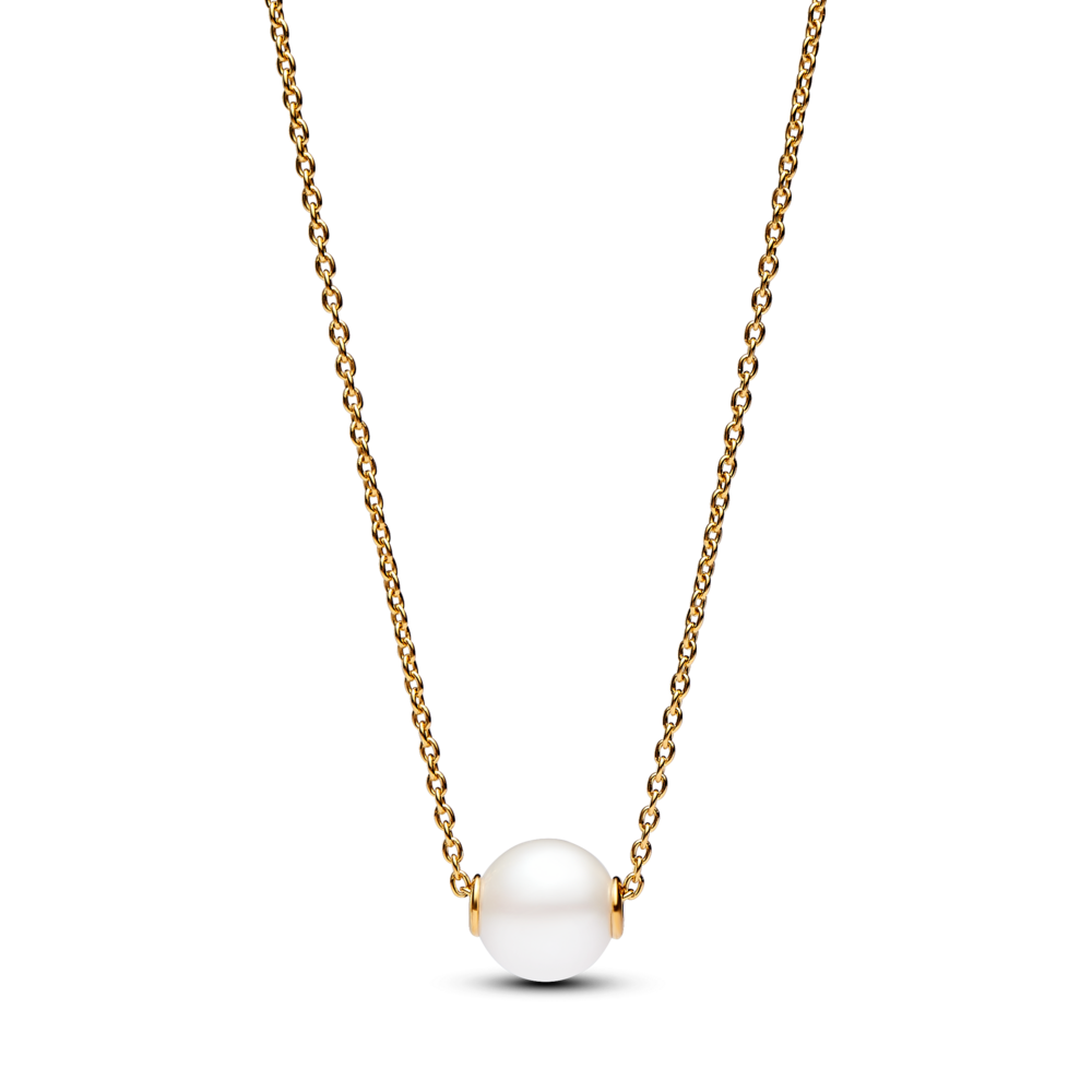 363167C01_1762248084101