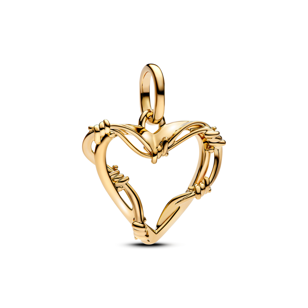 מדליון ציפוי זהב ME וויילד לאב