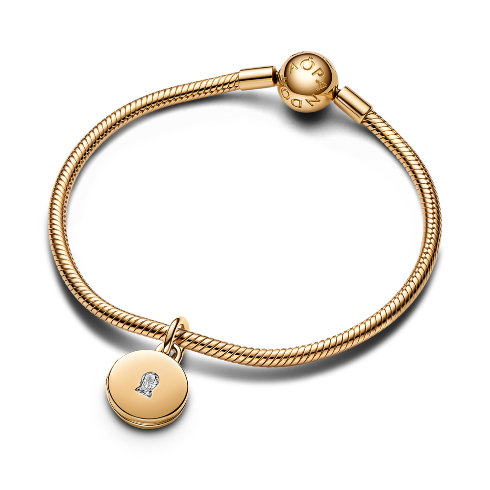 763066C01_V3_1762248877583