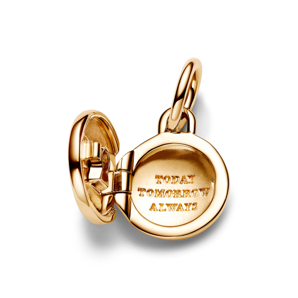 763066C01_V4_1762248879317