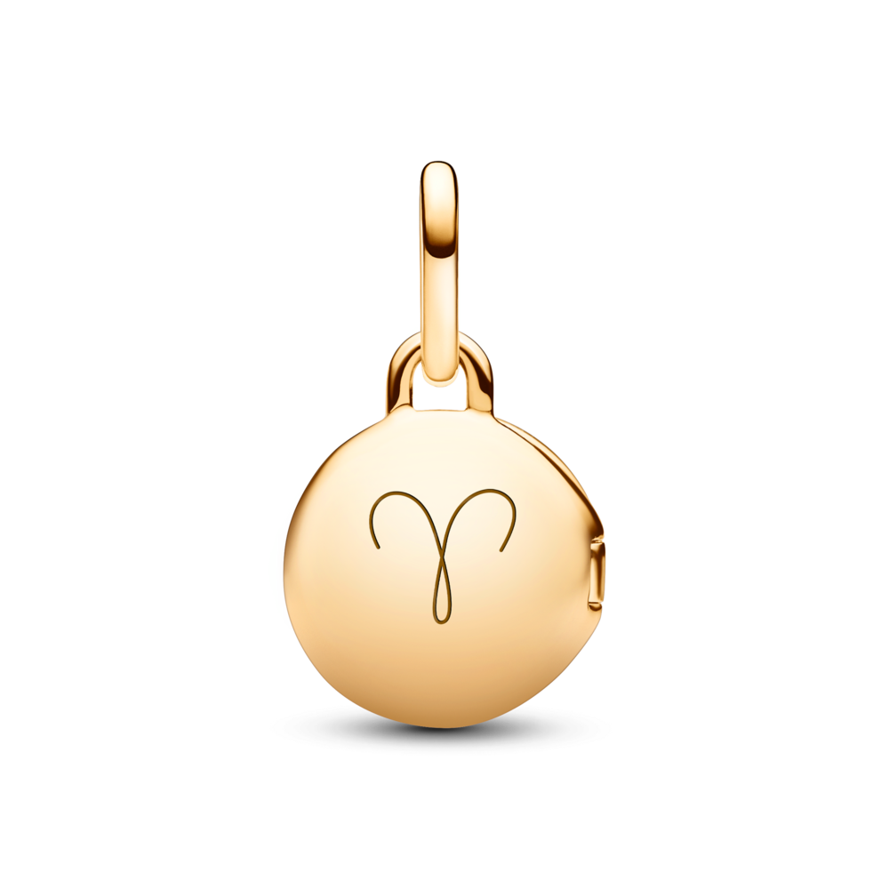 763066C01_V6_1762248883261