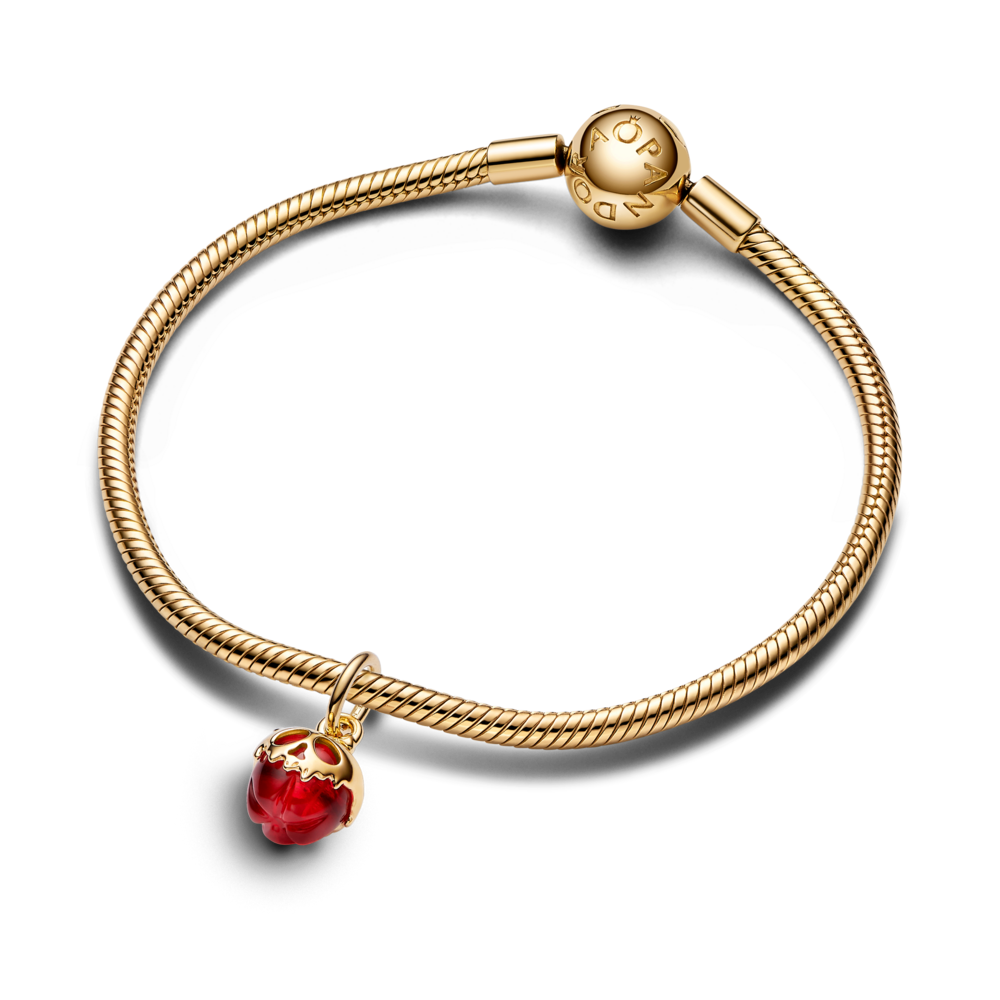 763421C01_V3_1762248974758