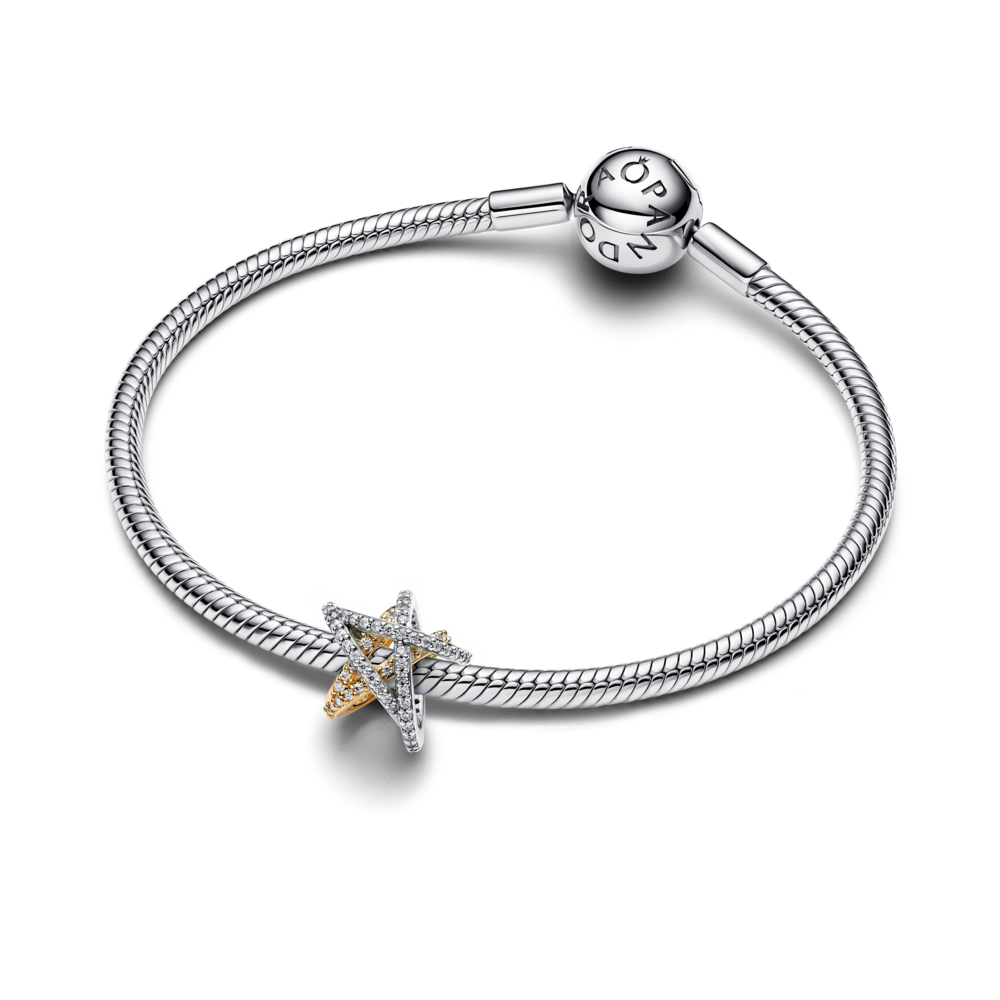 763590C01_V3_1762249031888