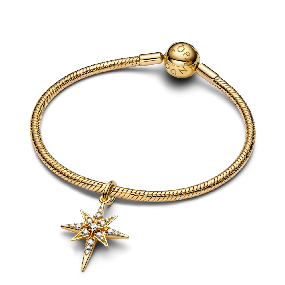 763608C01_V3_1762249050644