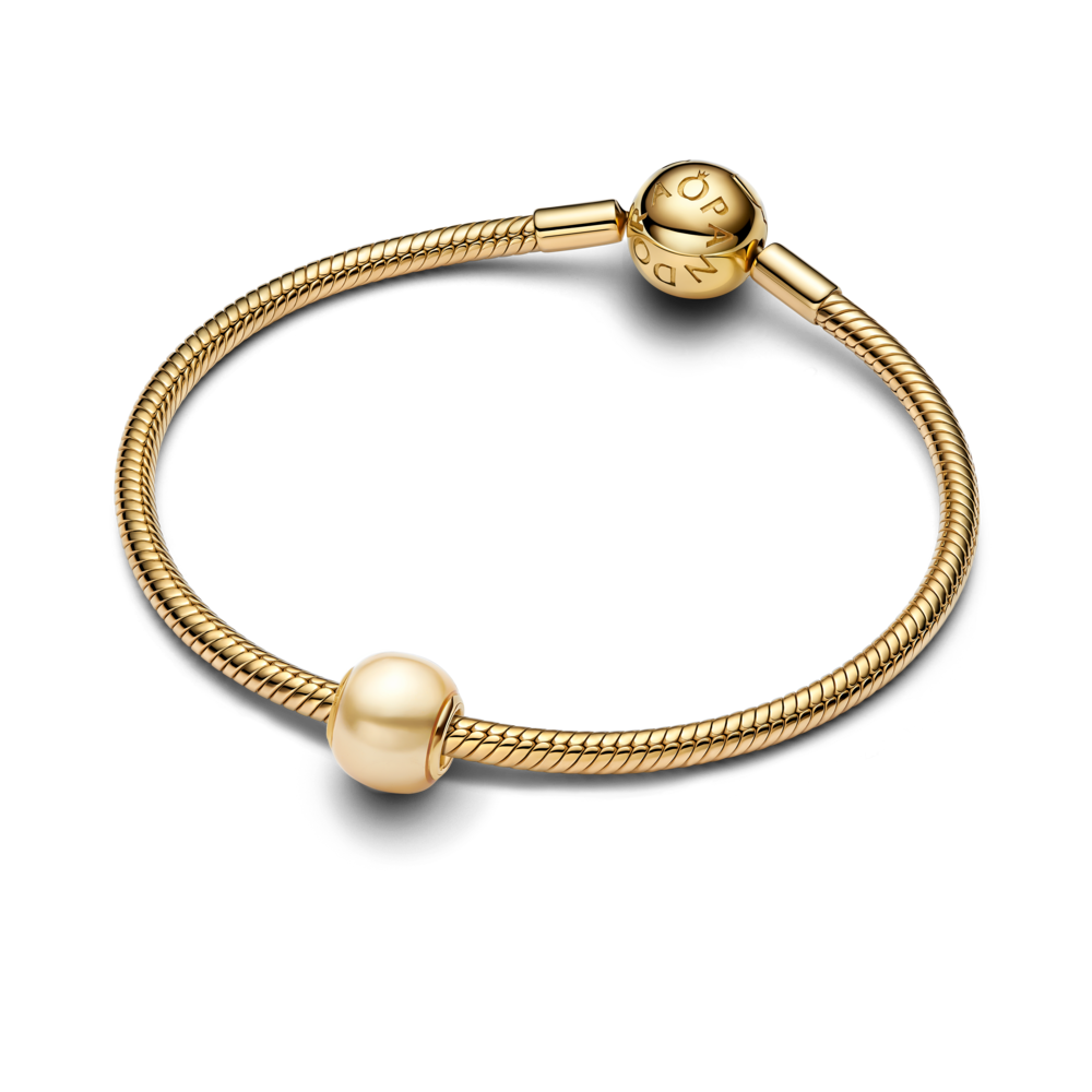 763781C01_V3_1762249099432