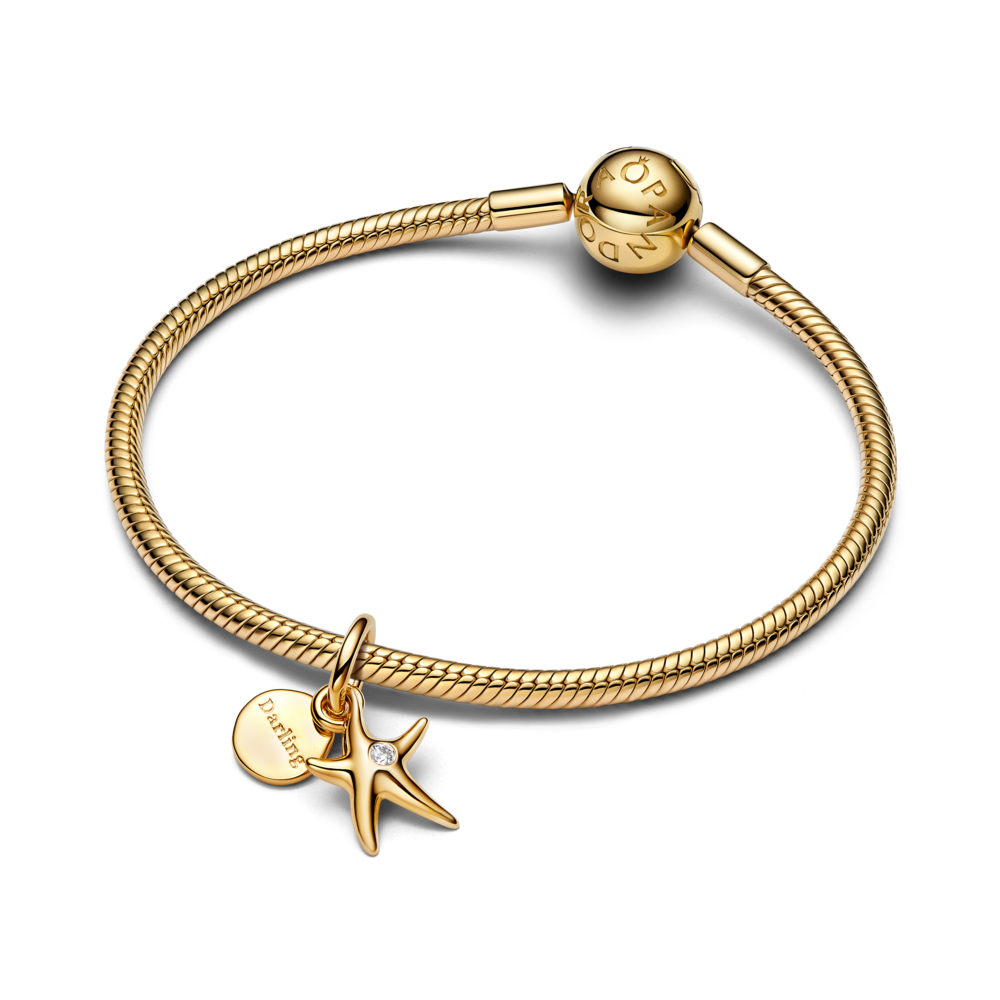 763892C01_v3_1762249153041