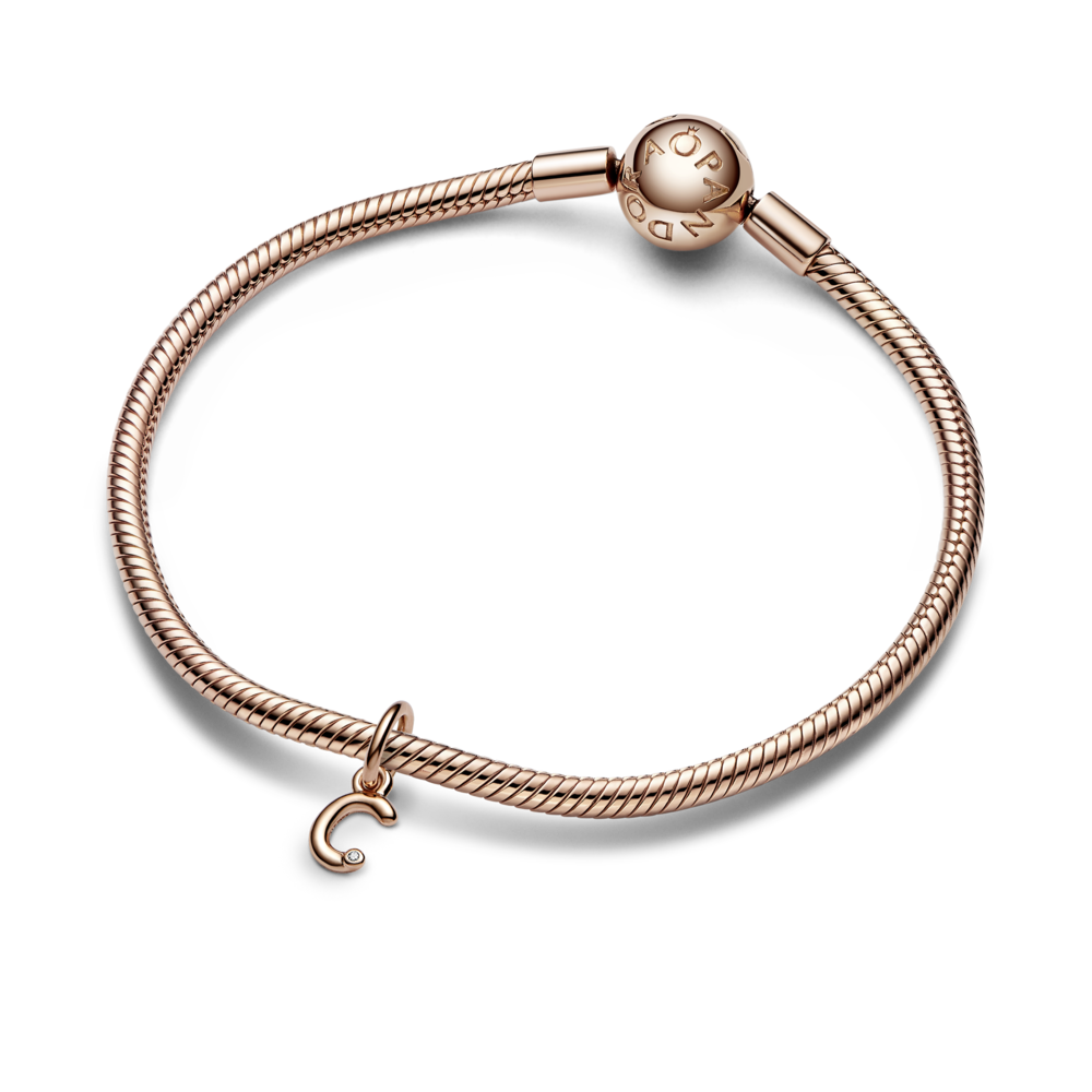 782472C01_V5_1762249411632