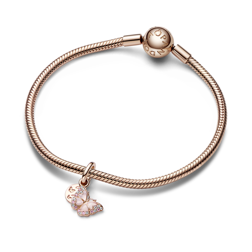 782555C01_V3_1762249469300