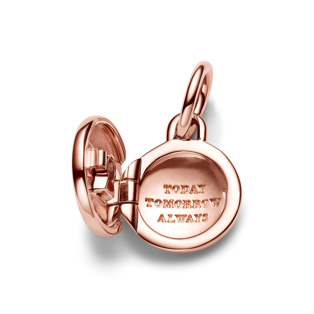 783066C01_V4_1762249547124