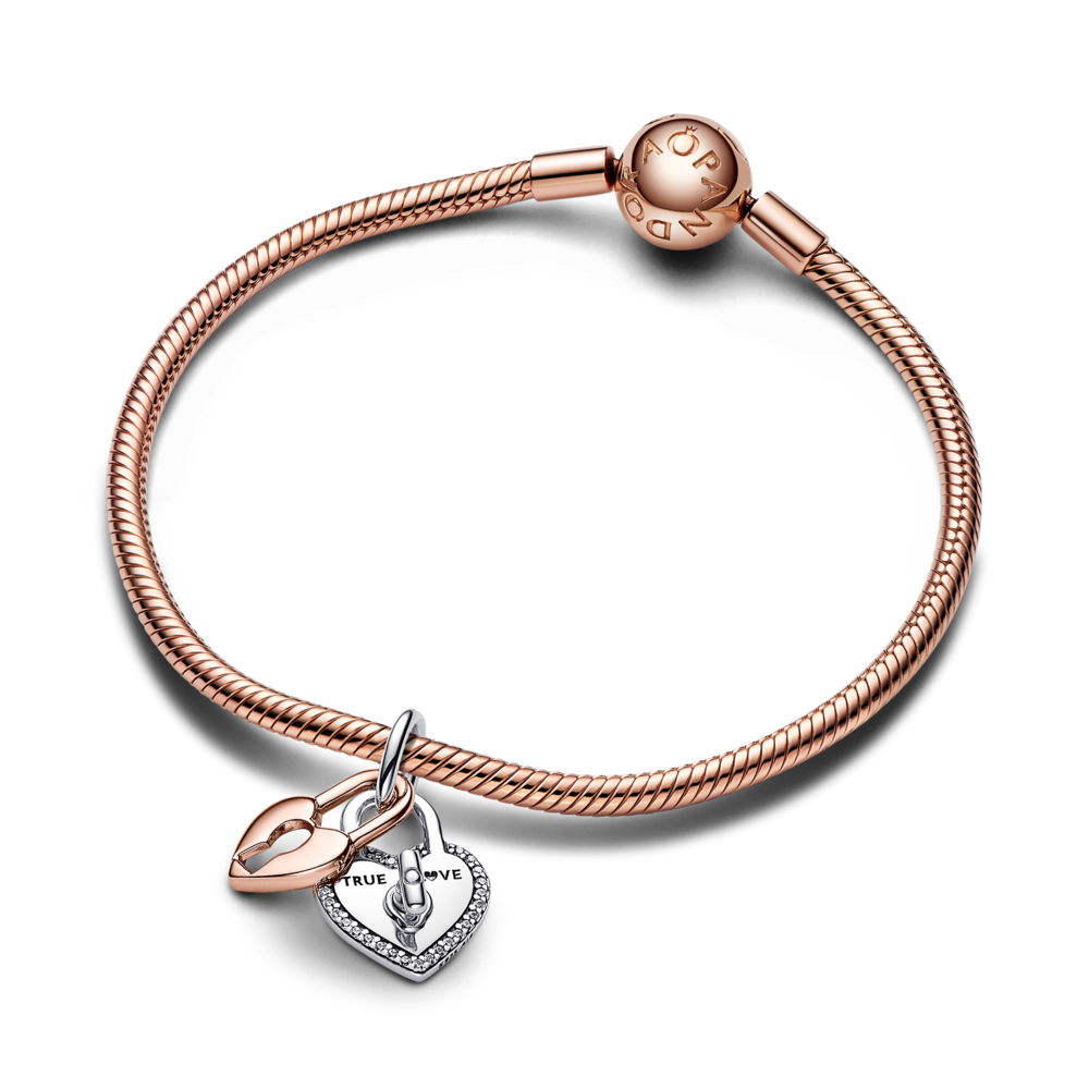 783079C01_V3_1762249556136