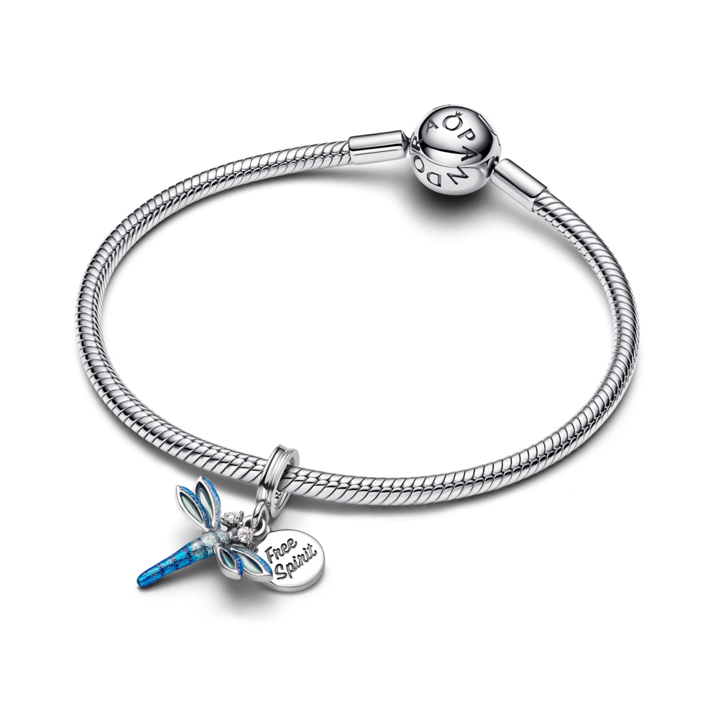 793745C01_V3_1762250368794