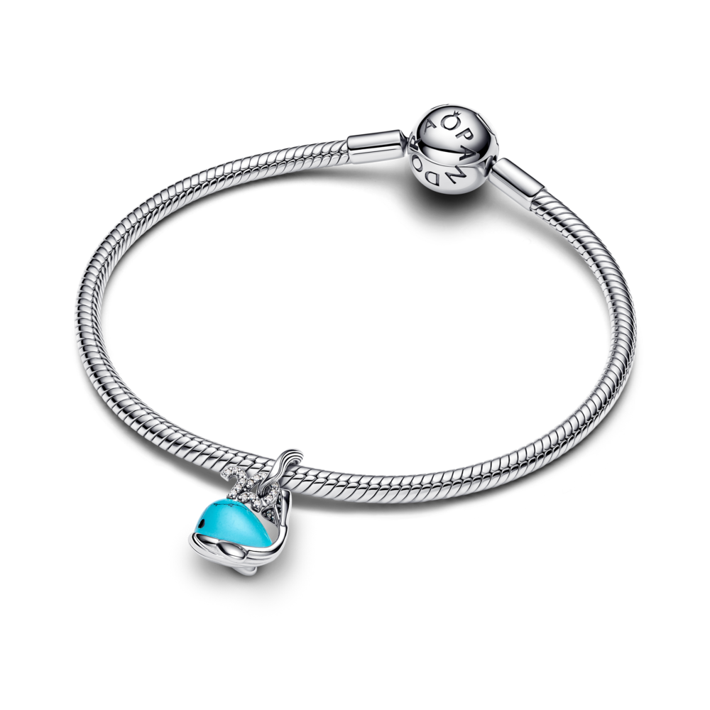 793822C01_v3_1762250468289