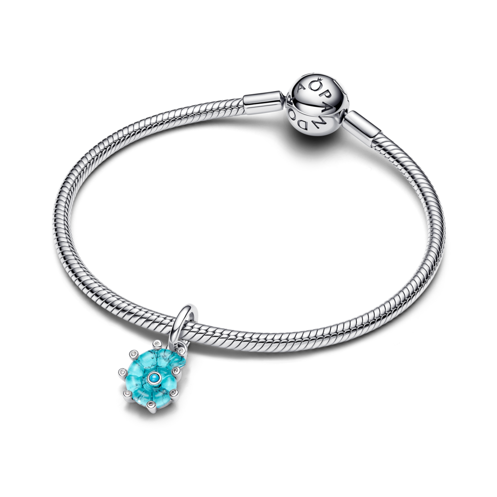 793900C01_v3_1762250518272