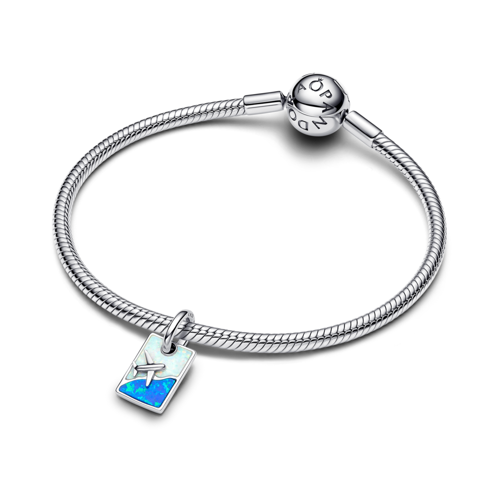 793913C01_v3_1762250558340