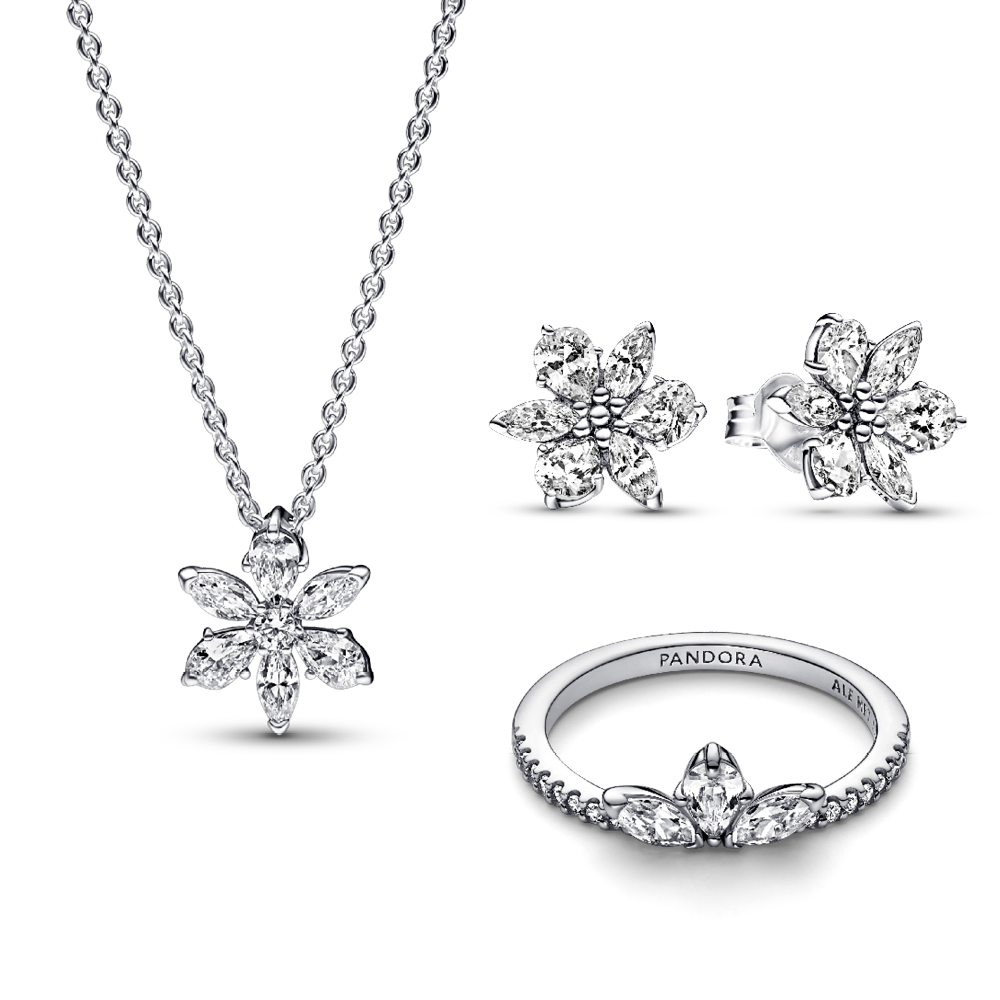 סט כסף טבעת, שרשרת ועגילים ספרקלינג פלאוור